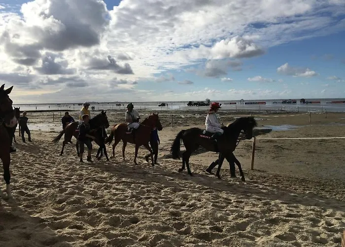 Feriehus Luxury Duhnenblick *